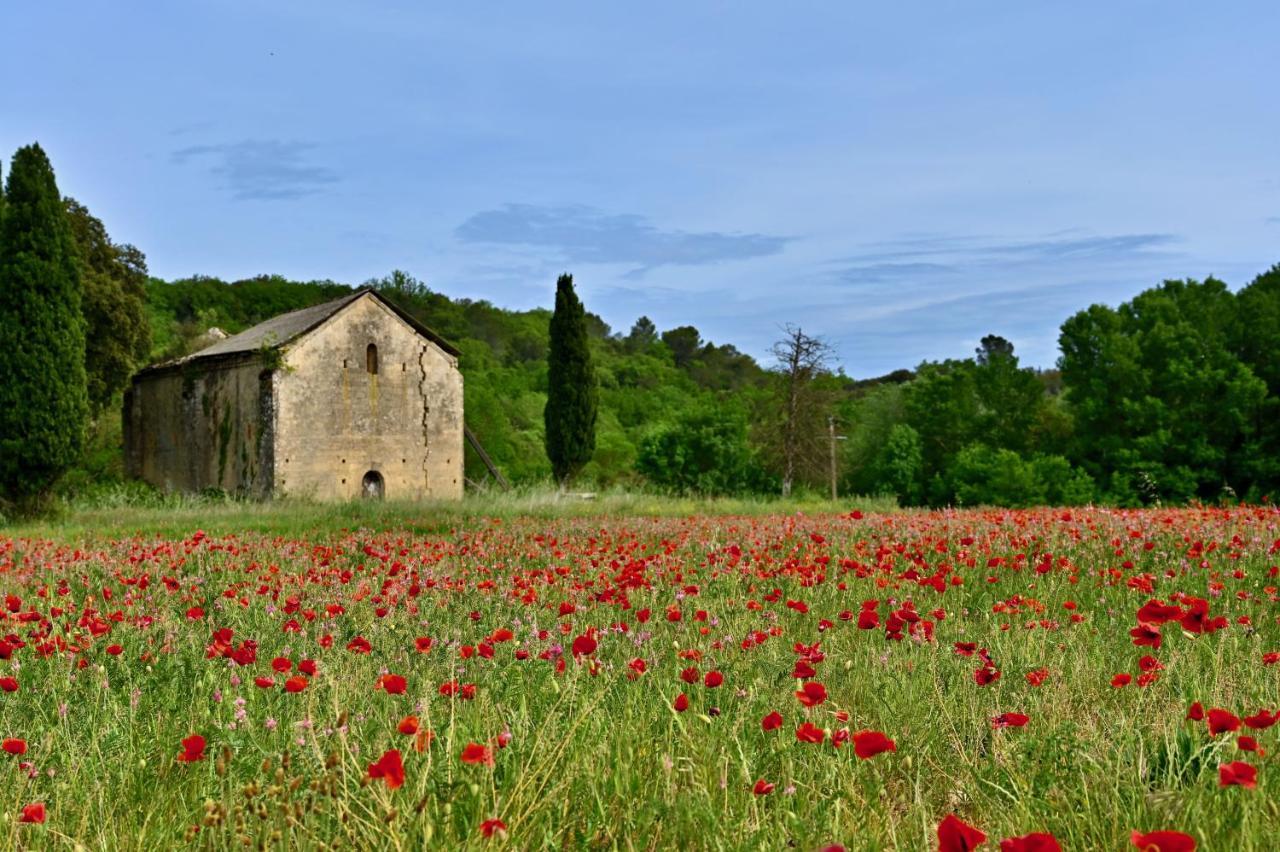 Gite De Charme "Puisneuf" Proche De Uzes Villa Flaux Exterior foto